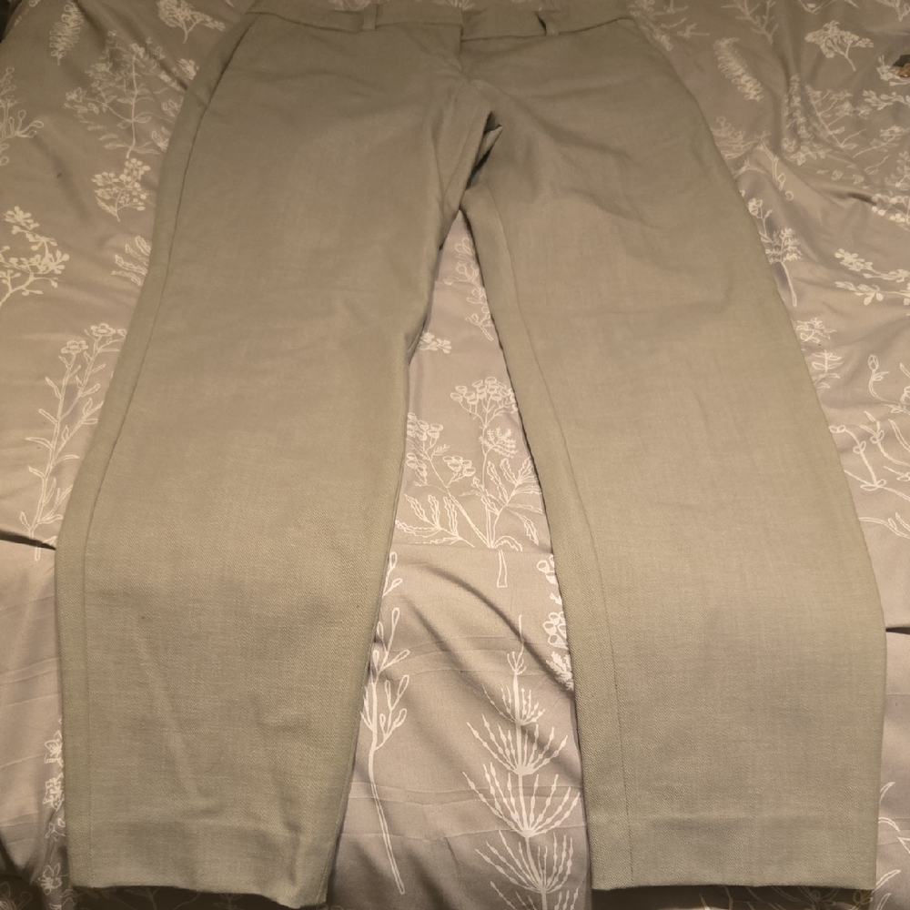 Express Dress Pants